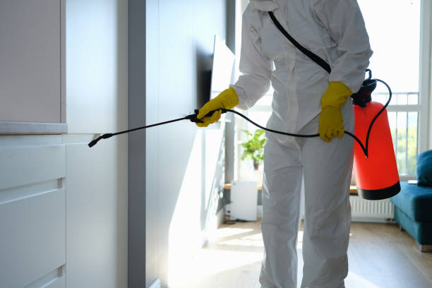 Best Residential Mold Removal  in Dade City, FL