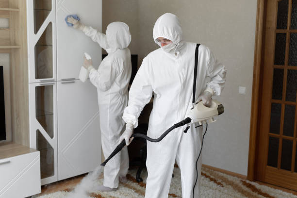 Best Mold Damage Repair  in Dade City, FL