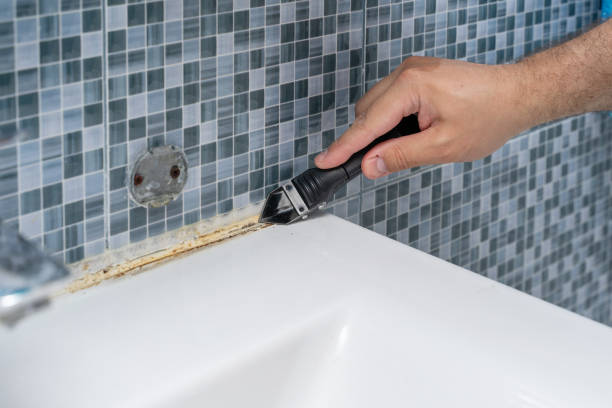 Best Commercial Mold Removal  in Dade City, FL